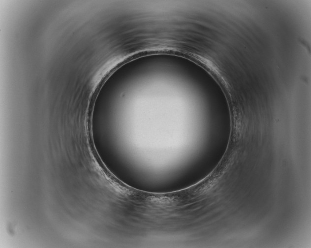 X0000101220943200807071344