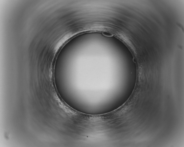X0000101220944200807071344