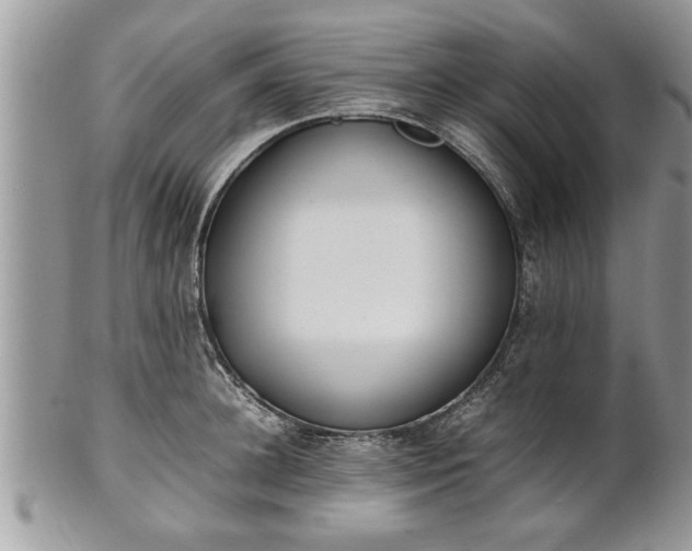X0000101220948200807071344
