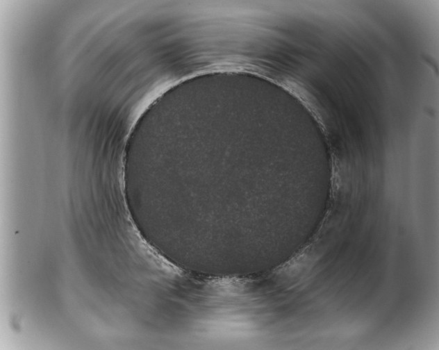 X0000101220950200807071344