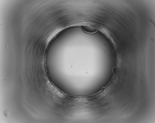 X0000101220952200807071344
