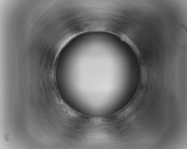 X0000101220956200807071344