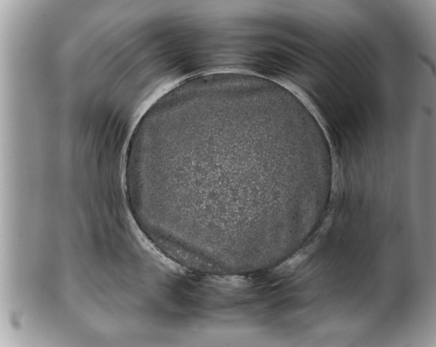 X0000101220957200807071344
