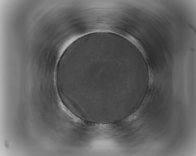 X0000101220958200807071344