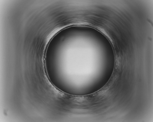 X0000101220959200807071344