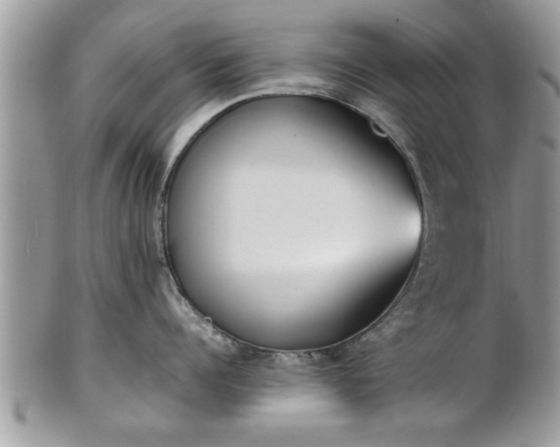 X0000101220960200807071344