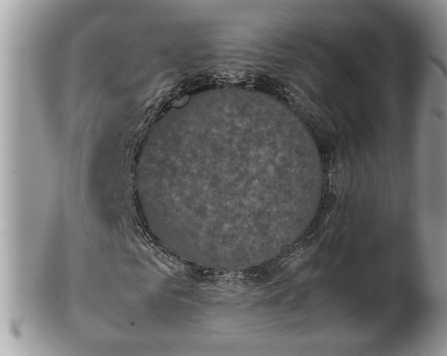 X0000101220961200807071344