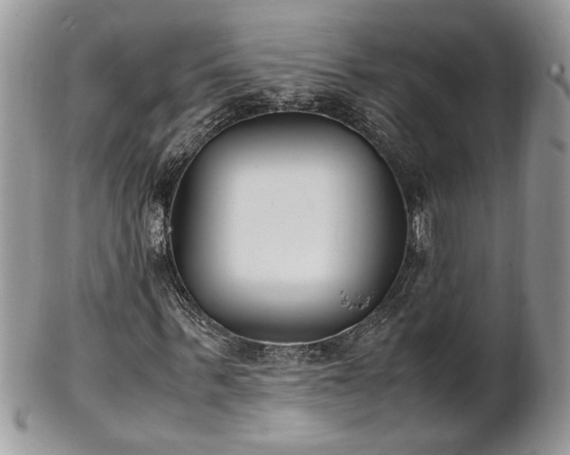 X0000101220963200807071344