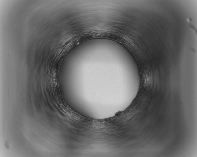 X0000101220964200807071344