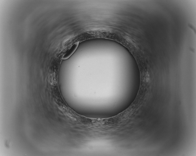 X0000101220965200807071344