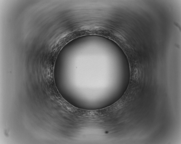 X0000101220966200807071344