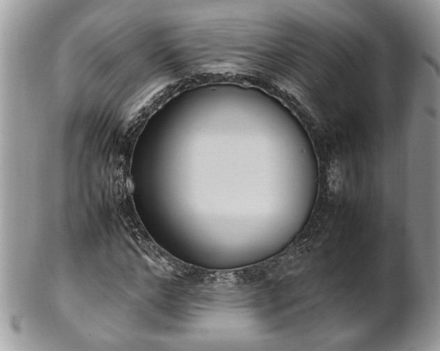 X0000101220968200807071344