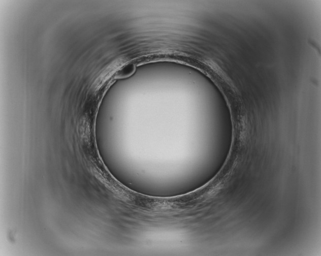 X0000101220969200807071344