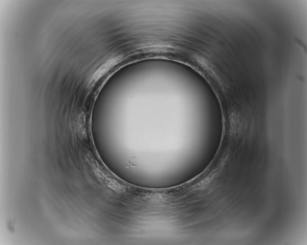 X0000101220970200807071344