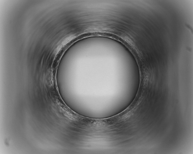 X0000101220974200807071344