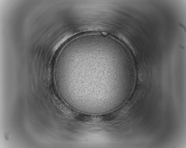 X0000101220975200807071344