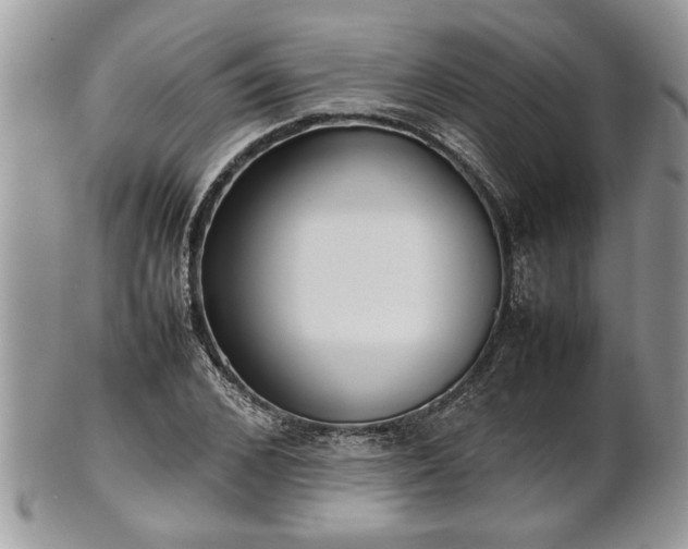 X0000101220976200807071343