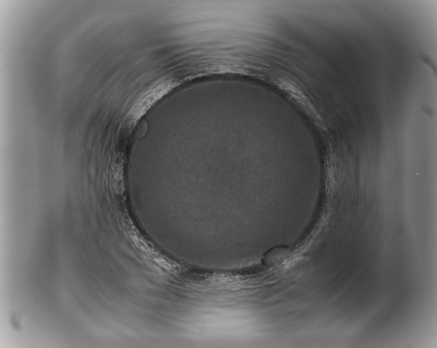 X0000101220977200807071343