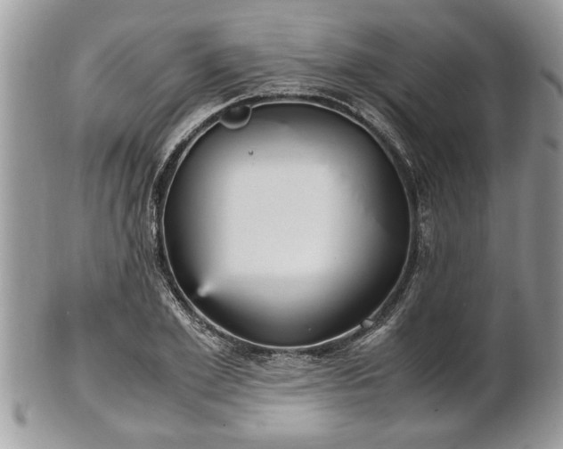 X0000101220981200807071343