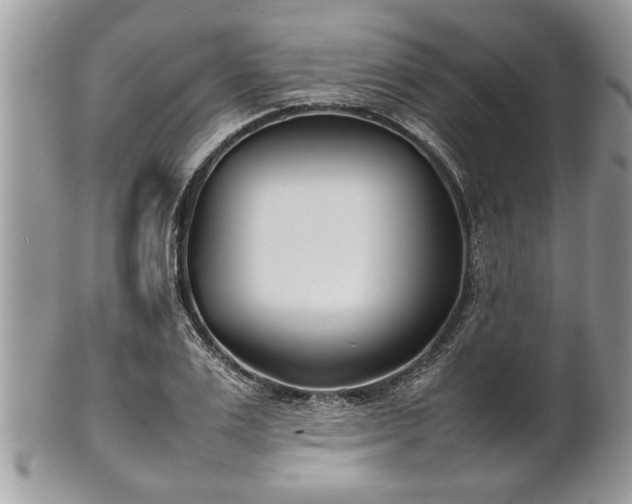 X0000101220983200807071343