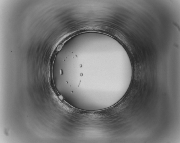 X0000101220984200807071343