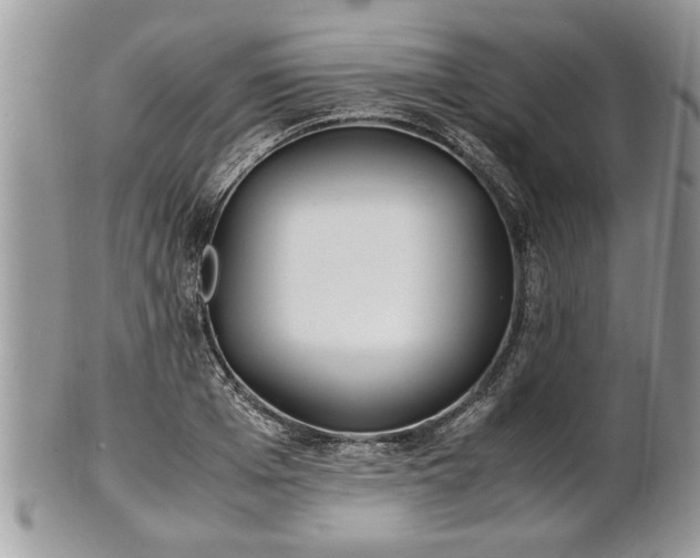 X0000101220985200807071343