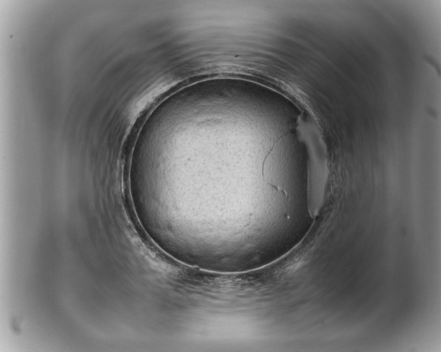 X0000101220987200807071343