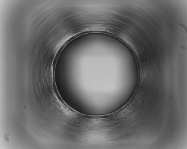 X0000101220988200807071343