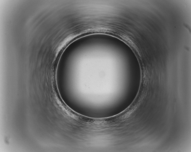 X0000101220989200807071343