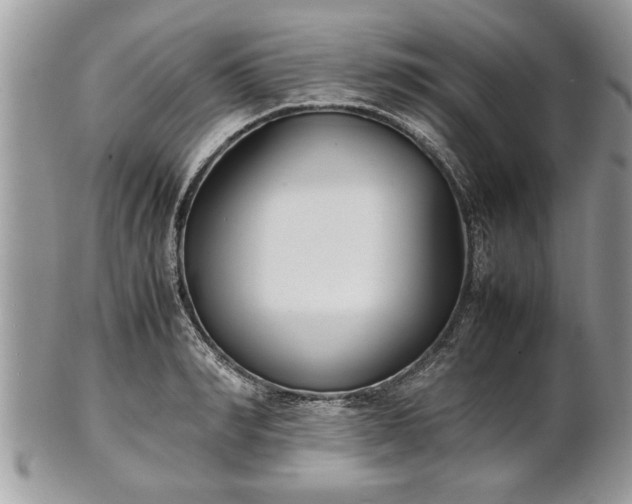 X0000101220990200807071343
