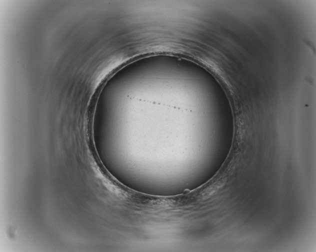 X0000101220991200807071343
