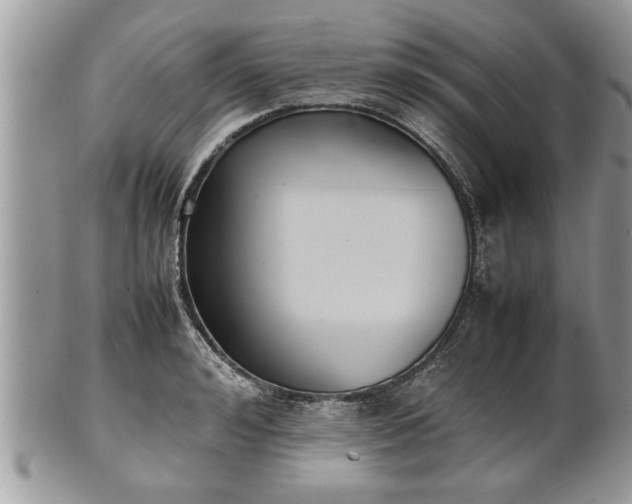 X0000101220992200807071343