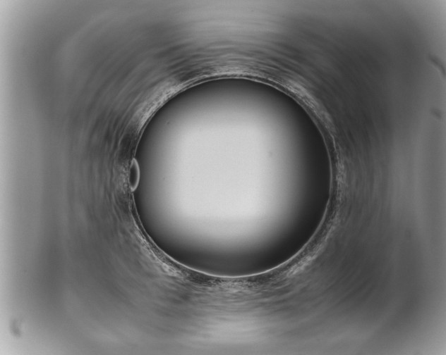 X0000101220993200807071343