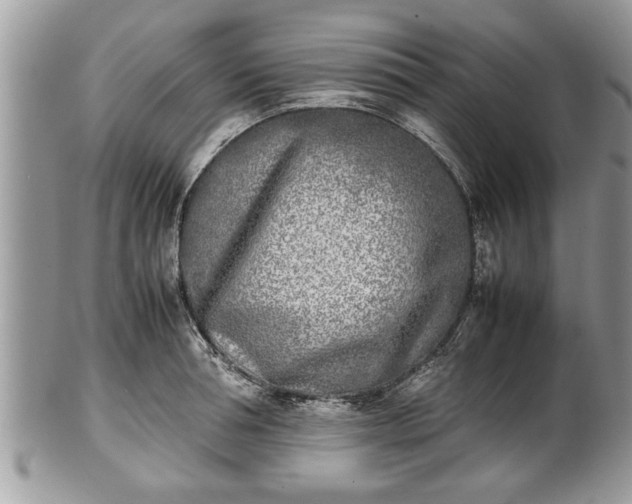 X0000101220994200807071343