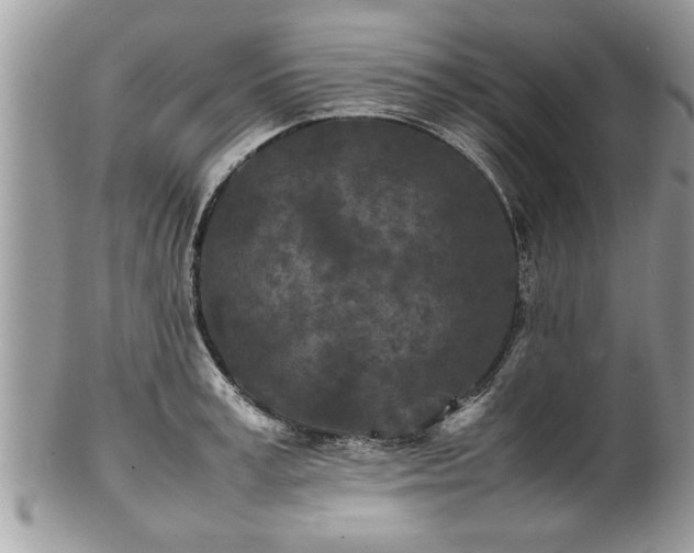 X0000101220995200807071343