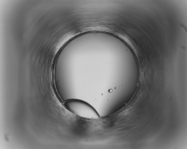 X0000101220999200807071343