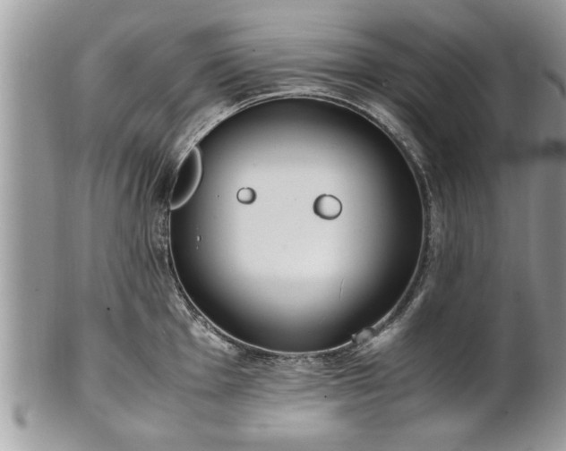 X0000101221001200807071343
