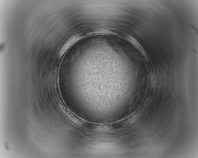 X0000101221002200807071343