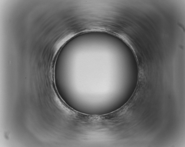 X0000101221003200807071343