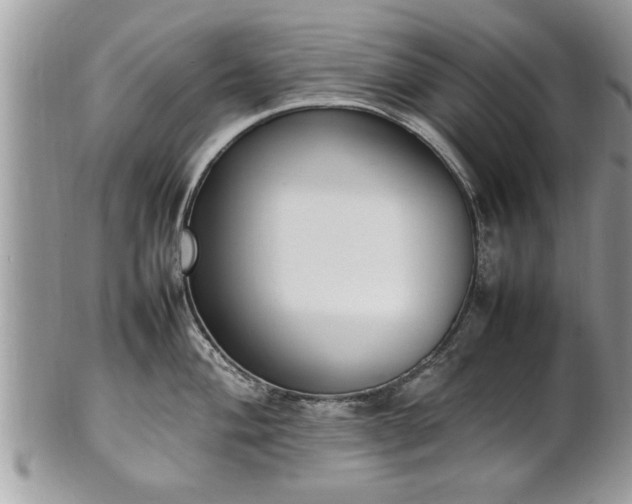 X0000101221004200807071343