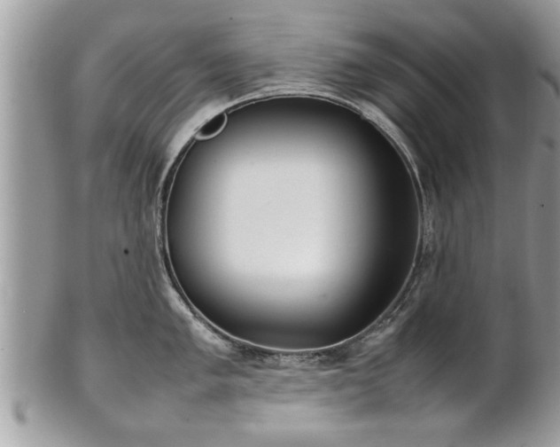 X0000101221005200807071343