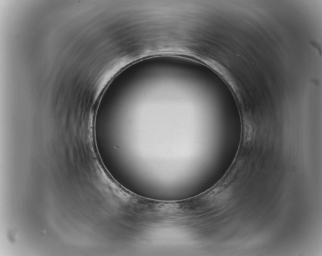 X0000101221006200807071343