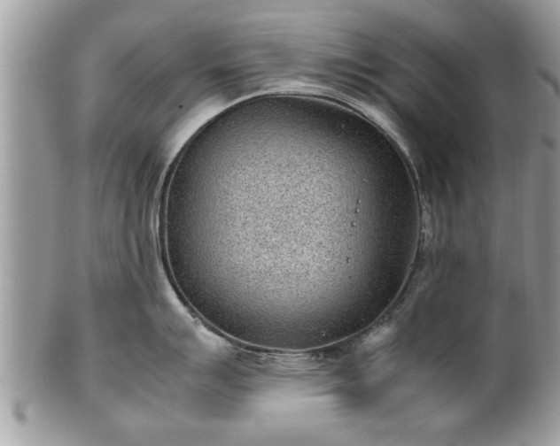 X0000101221007200807071343