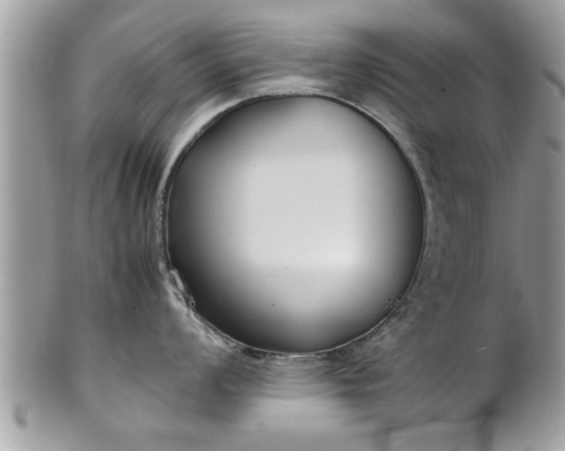 X0000101221008200807071343