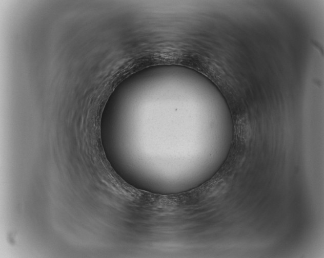 X0000101221009200807071342