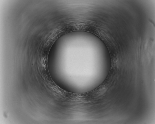 X0000101221010200807071342