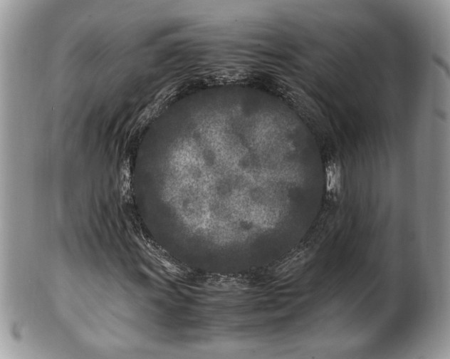 X0000101221011200807071342