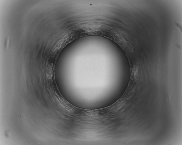 X0000101221012200807071342