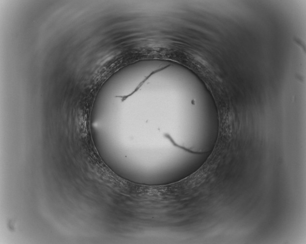 X0000101221013200807071342