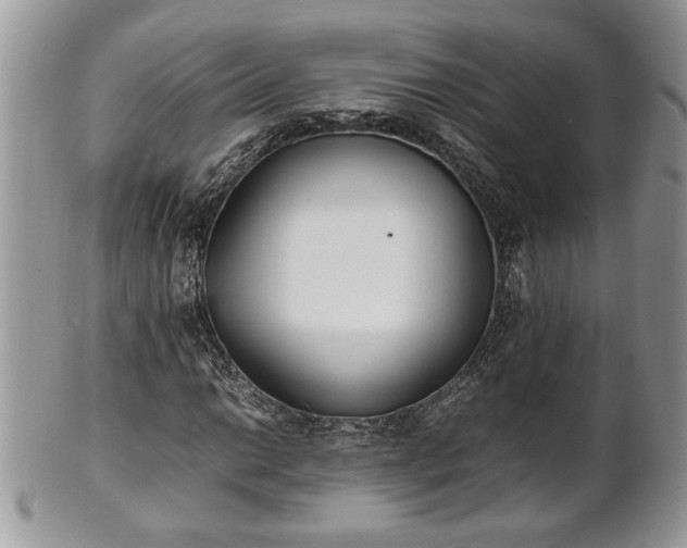 X0000101221014200807071342